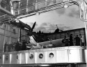 CV-7 Wasp