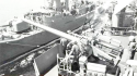 CVS-12 Hornet