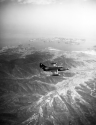 CV-21 Boxer