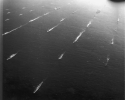 CVN-70 Carl Vinson + CVN-65 et al.