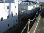 APL-15