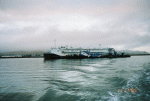 APL-24
