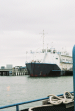 APL-24