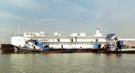 APL-24