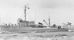MSC-264